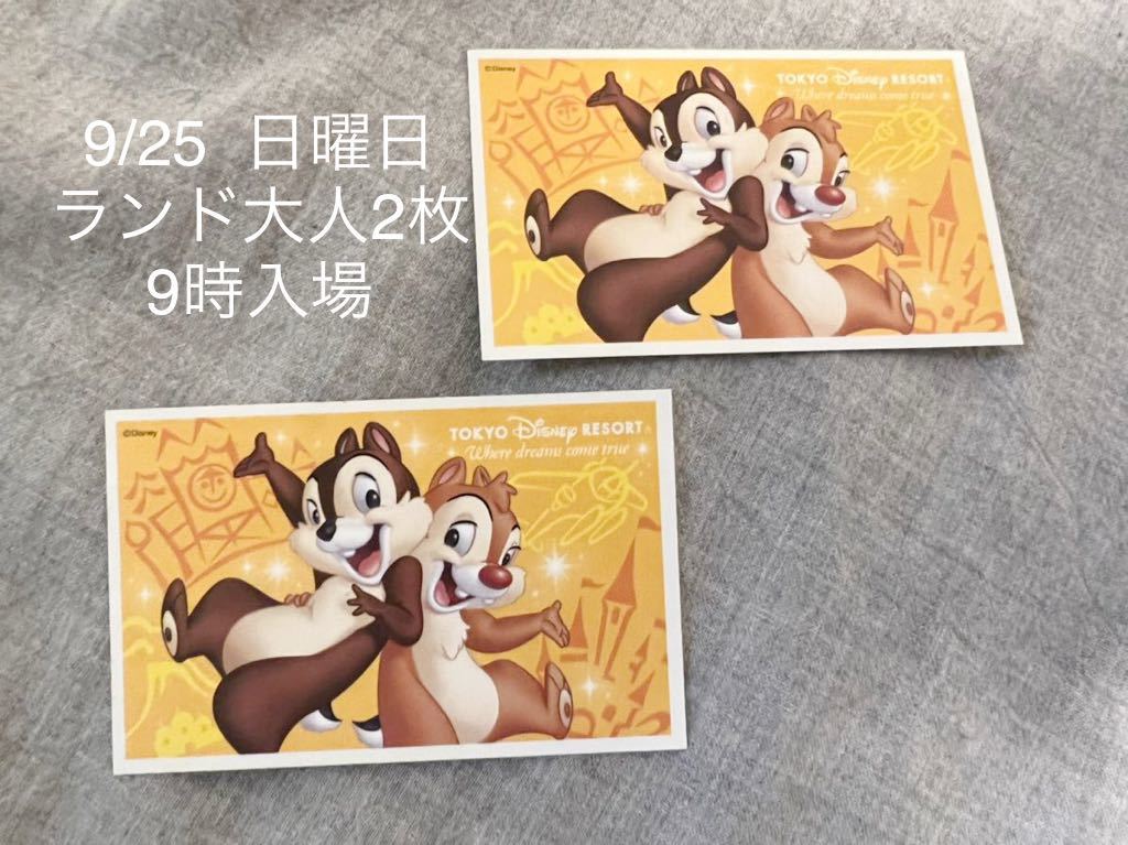 32 割引 内祝い 東京ディズニーリゾート ディズニーランド ディズニーチケット 東京ディズニーリゾート 施設利用券 チケット 金券 宿泊予約 Www Damasamarillas Com 32 割引 内祝い 東京ディズニーリゾート ディズニーランド ディズニーチケット 東京ディズニーリゾート 施設利用券 チケット 金券 宿泊予約 Www Damasamarillas Com