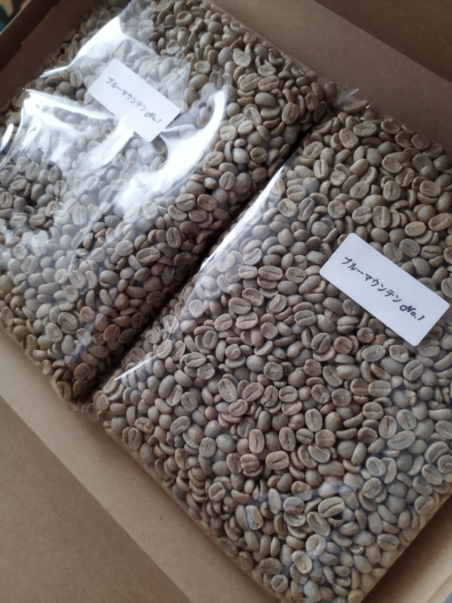 1.5Kg(1500g) 10000円 ブルーマウンテン No.1 生豆