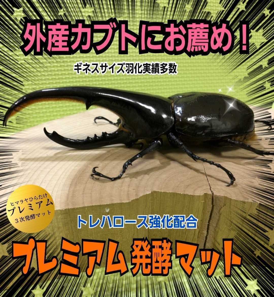 線虫、ダニ、コバエで悩んで方に！雑虫が全くわきません！完全室内製造！極上☆進化した！プレミアム発酵カブトムシマット　アミノ酸配合！_画像4