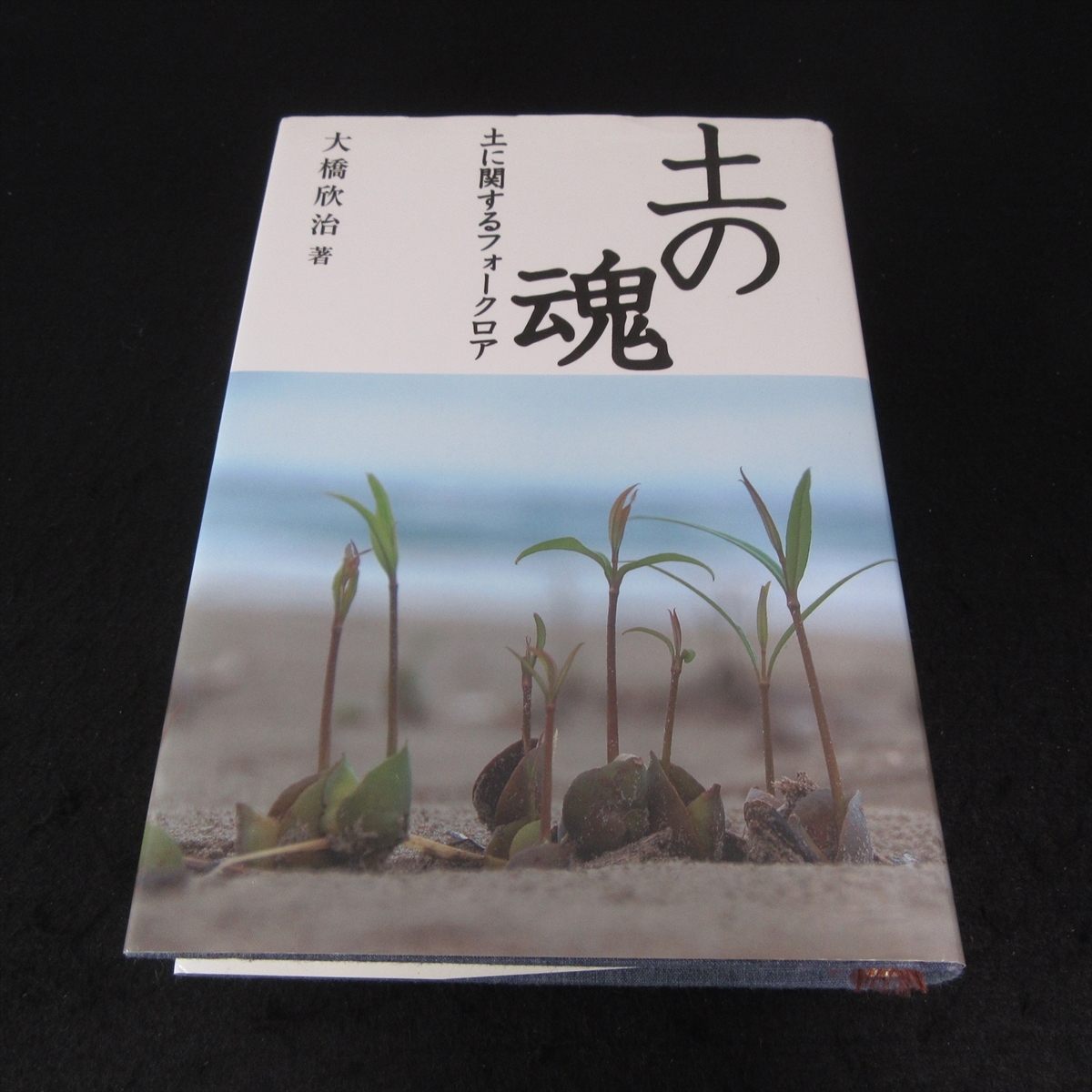 本 『土の魂 土に関するフォークロア』 ■送料無料 大橋欣治 土地改良新聞社 思想・歴史・文化・文明・農業 他 民俗学視点アプローチ□_画像1