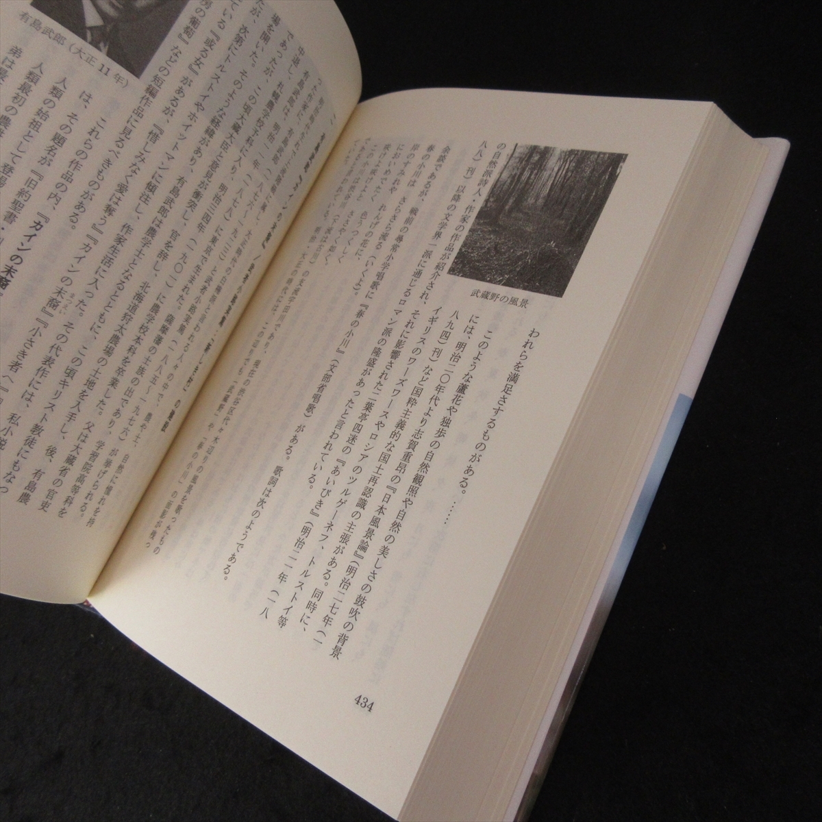 本 『土の魂 土に関するフォークロア』 ■送料無料 大橋欣治 土地改良新聞社 思想・歴史・文化・文明・農業 他 民俗学視点アプローチ□_画像2