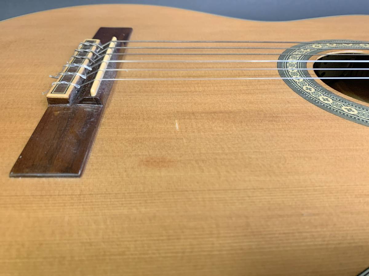 エレガット Lumber 島村楽器 LCG5ENA ジャンク | afirco.ir