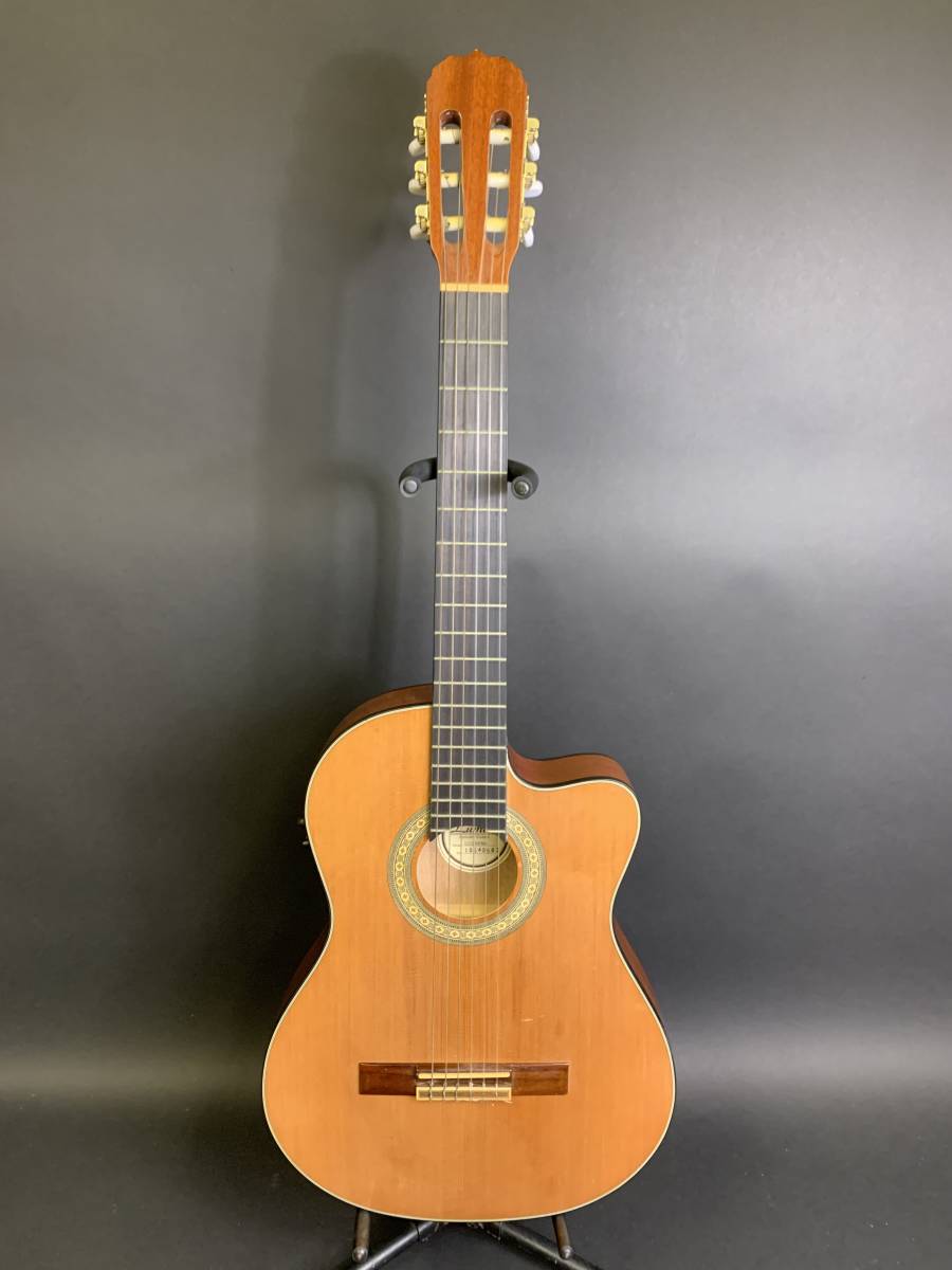 エレガット Lumber 島村楽器 LCG5ENA ジャンク | afirco.ir