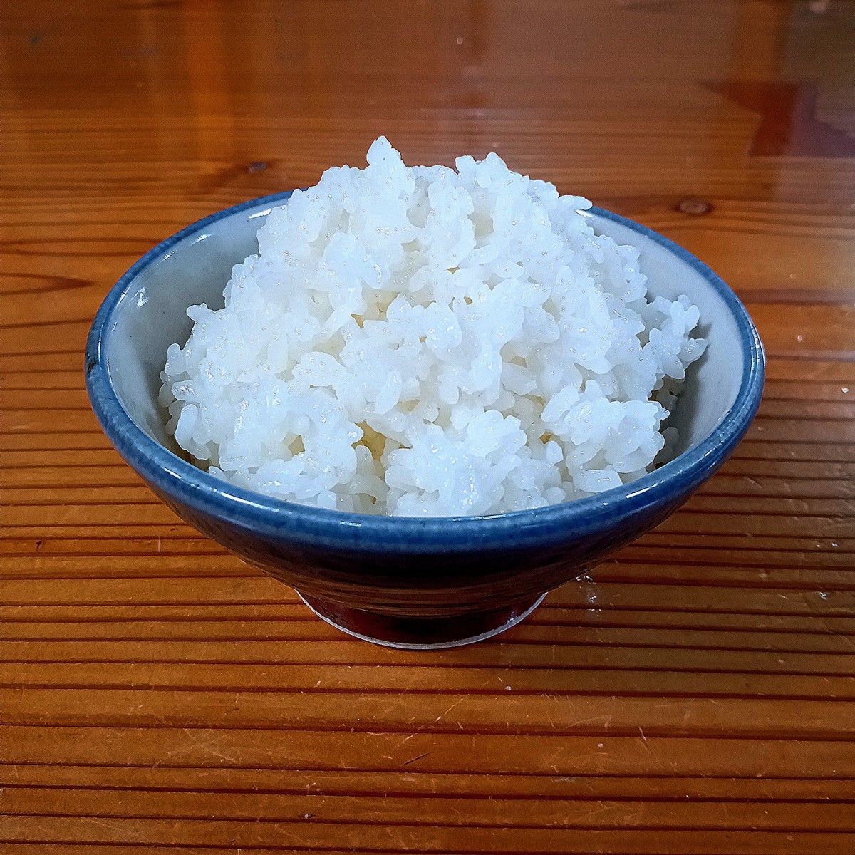 コシヒカリ 白米 10キロ 特別栽培米 京都府産 令和4年産 箱なし