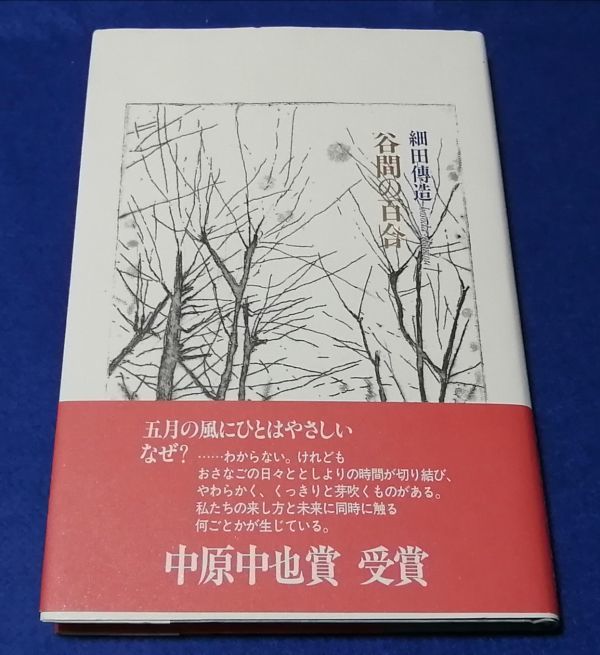 ●● 谷間の百合　細田傳造　2012年初版発行　書肆山田　中原中也賞 受賞　B0404P47_画像1