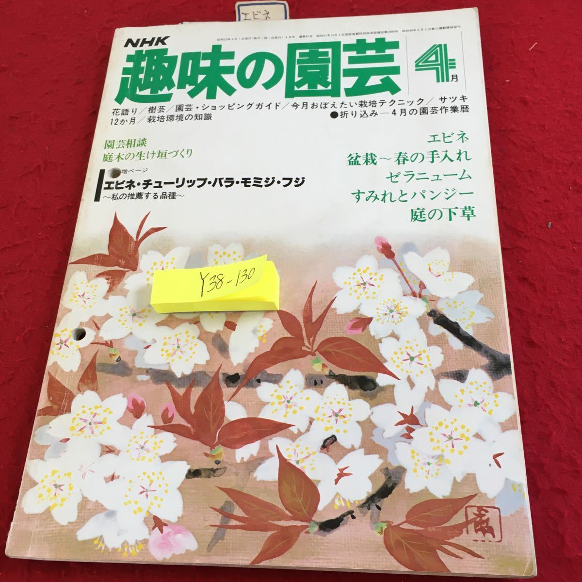 Y38-13NHK 趣味の園芸 4月 エビネ・チューリップ・バラ・モミジ・フジ 盆栽 春の手入れ ゼラニューム すみれとパンジー など 昭和53年発行_傷、汚れ有り