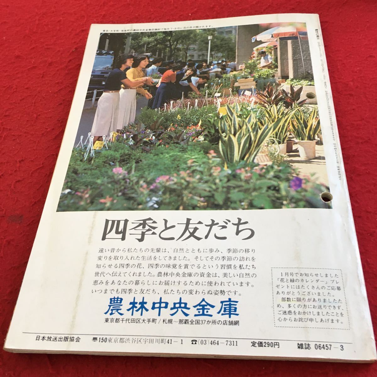 Y38-150 NHK 趣味の園芸 3月 ぼけの魅力 芝 春の花壇づくり 雪椿 鉢植えミカン類の植え替えと整枝 栽培テクニック など 昭和54年発行_傷、汚れ有り