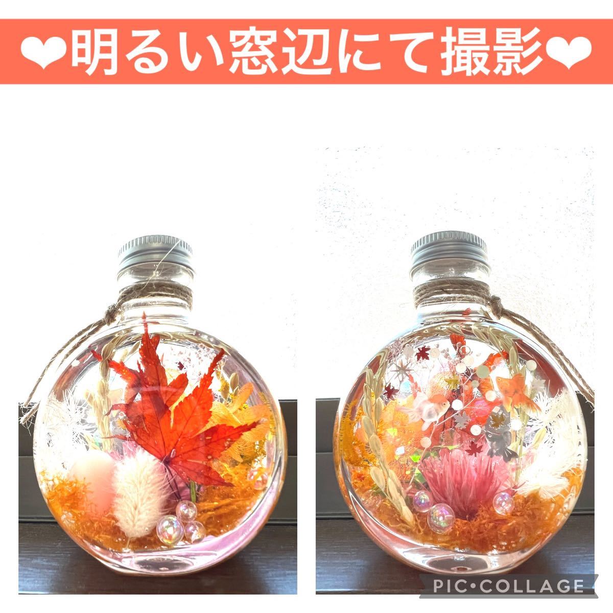 【紅葉×金魚】〜癒しの蓄光アクアリウム〜稲穂inネコ瓶 M