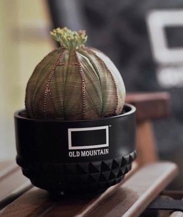 OLD MOUNTAIN × BOTANIZE PLA POT ×1 BOTANIZE原宿POP UP限定商品 オールドマウンテン ボタナイズ プラ 鉢 _画像1