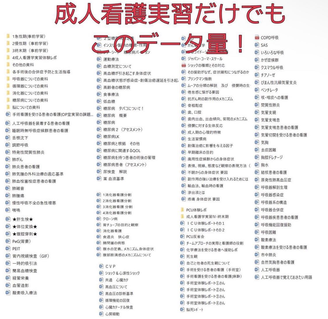 看護実習 看護過程 看護技術 アセスメント 関連図 データ資料 看護実習 看護過程 看護技術 アセスメント 関連図 データ資料