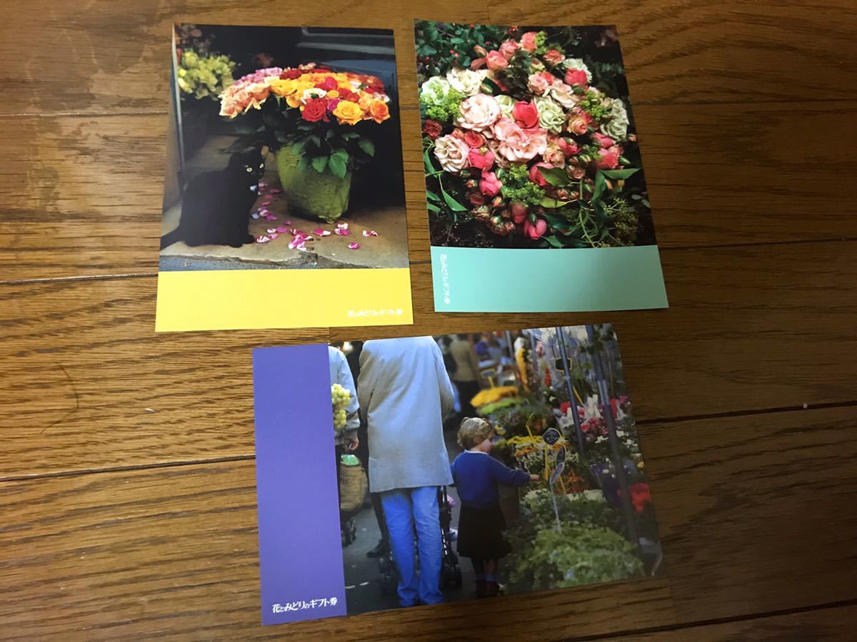花とみどりのギフトカード3枚_画像1