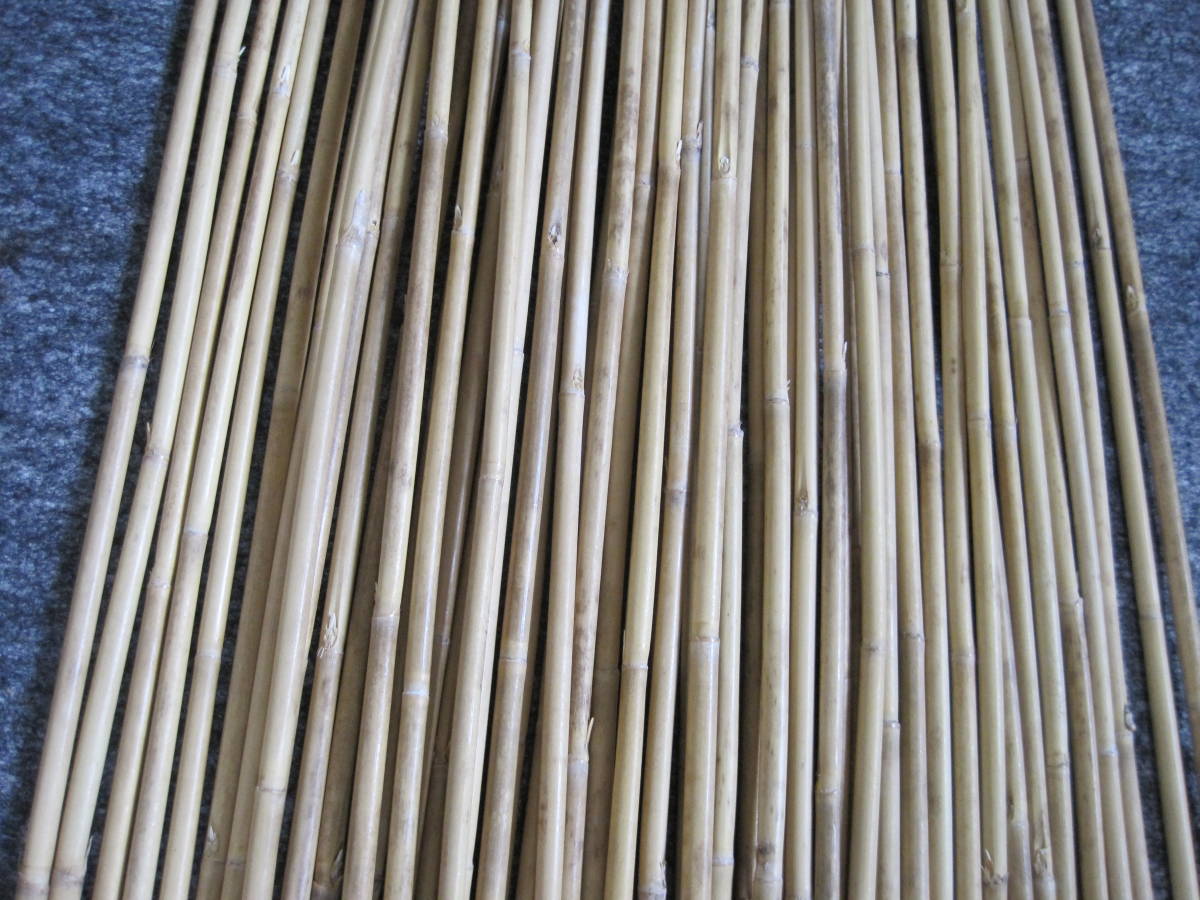 スズダケ R ５０本 高野竹 矢竹 はありません 矯め無し 長さ約１１７ 