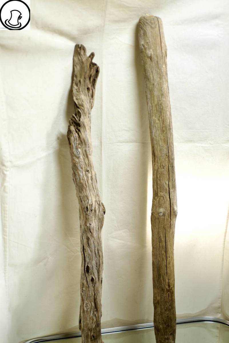 SEASIDEinterior☆流木の2本セット,Cool driftwood for decorating 101_SEASIDEinterior!