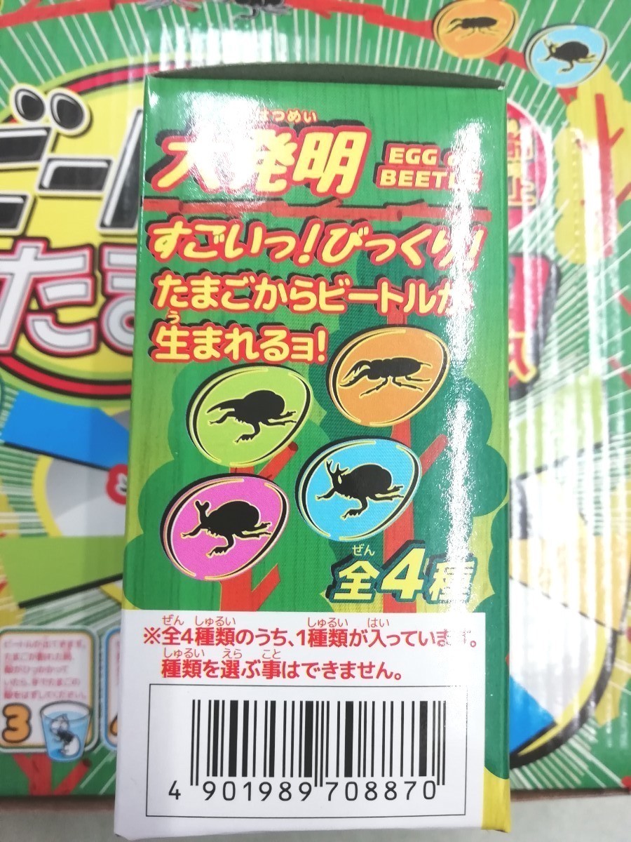 カブトムシおもちゃ 【5こセット】ビートルのたまご 水に入れて24時間 何が出てくるかはお楽しみ!　どんどん大きくなる★