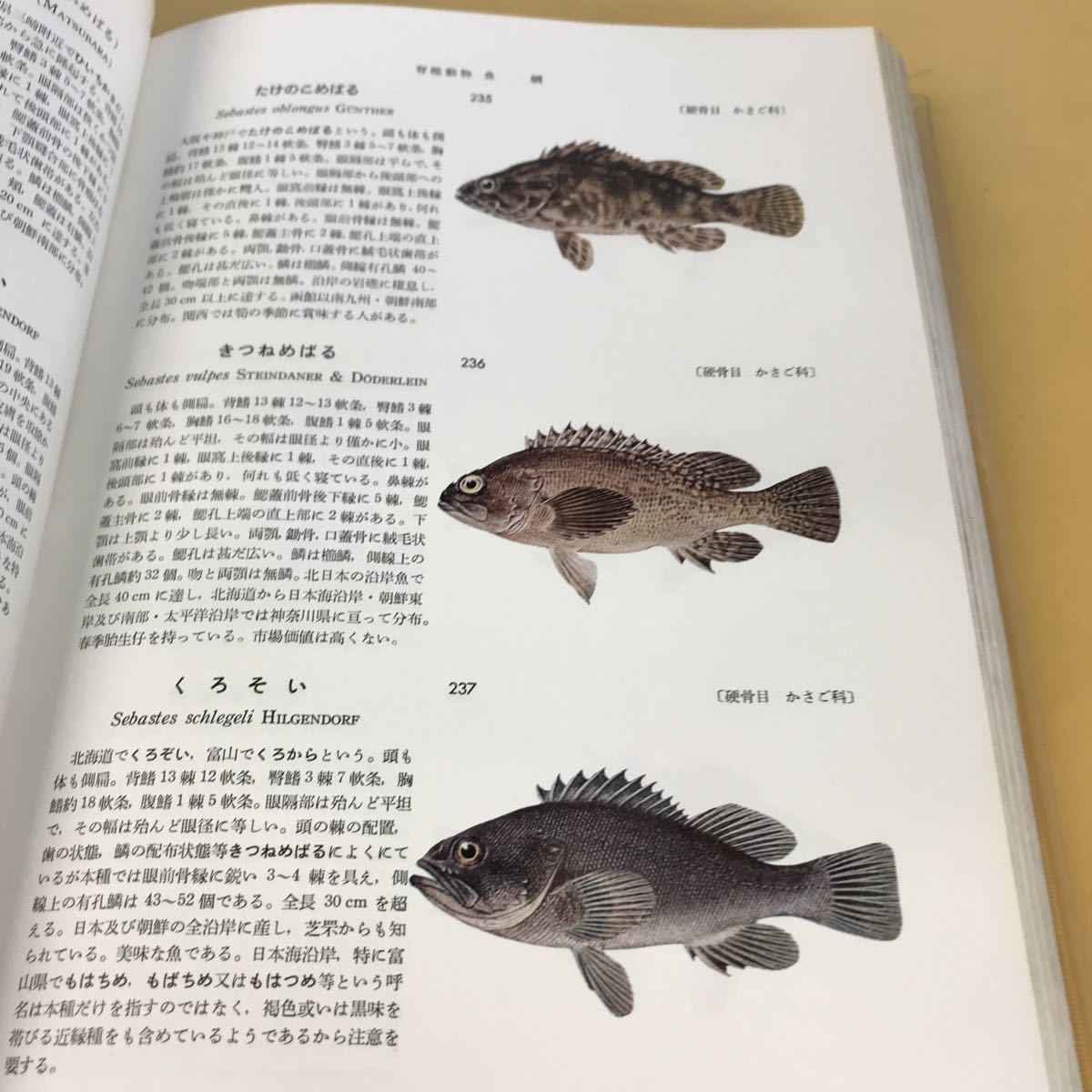 D09-047 原色動物大図鑑 II 理学博士 冨山一朗 阿部宗明 時岡 隆 D09-047 原色動物大図鑑 II 理学博士 冨山一朗 阿部宗明 時岡 隆