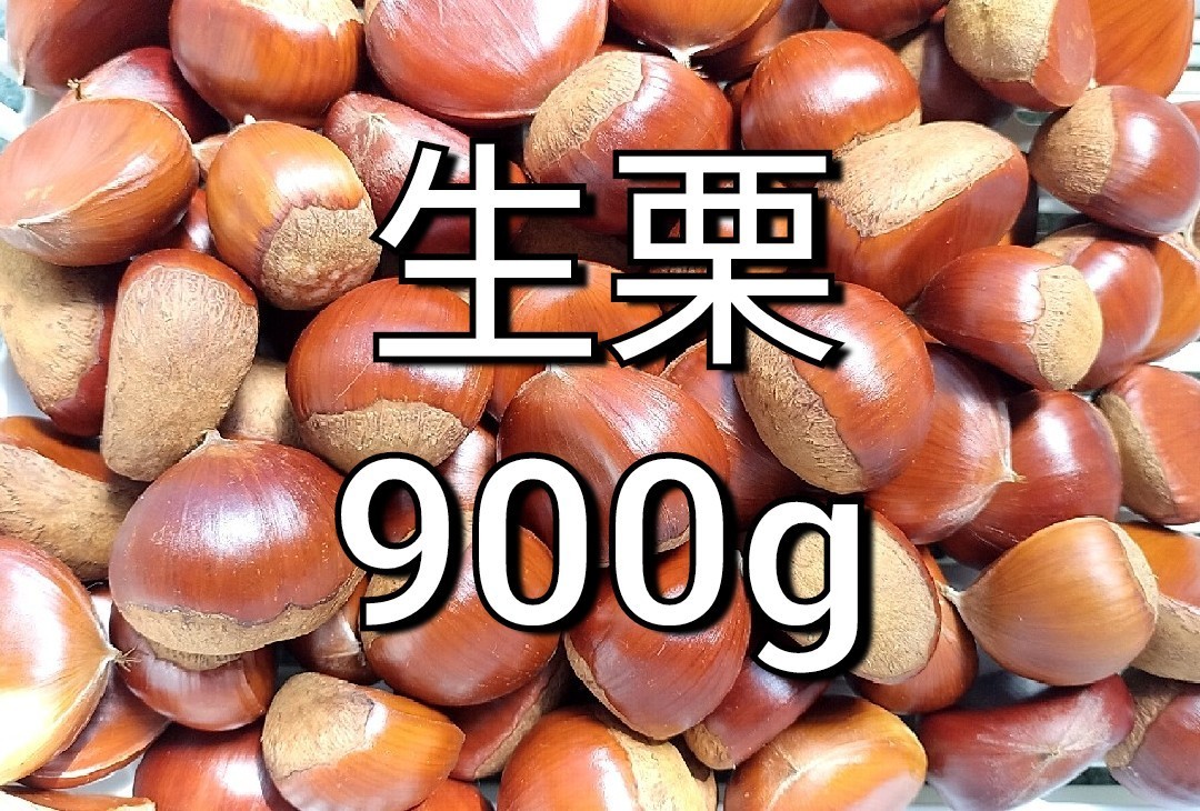 無農薬　生栗　900g 大きめ