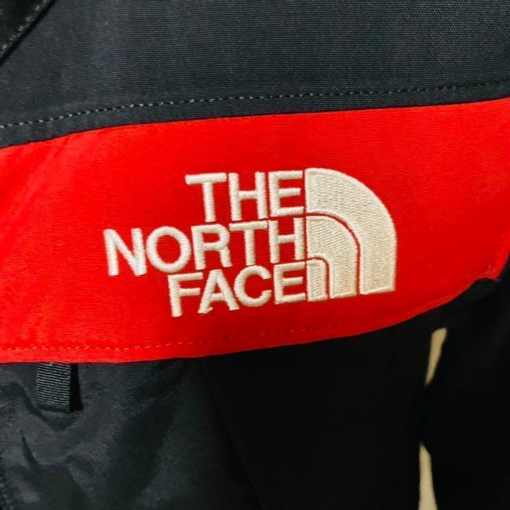 希少品 赤サミット THE NORTH FACE ノースフェイス　アンタークティカパーカ ダウンジャケット　ゴアテックス_画像4