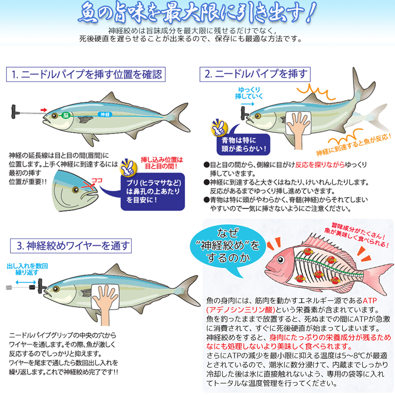 神経絞めセットMEDIUM ワイヤー長60cm　A20292　エア抜きもできる　ルミカ_画像3