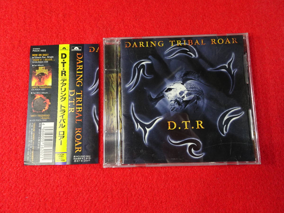 D・T・R/デアリング　トライバル　ロアー　ＣＤ　見本盤 SAMPLE 非売品　NOT FOR SALE　CDS　当時物_画像1