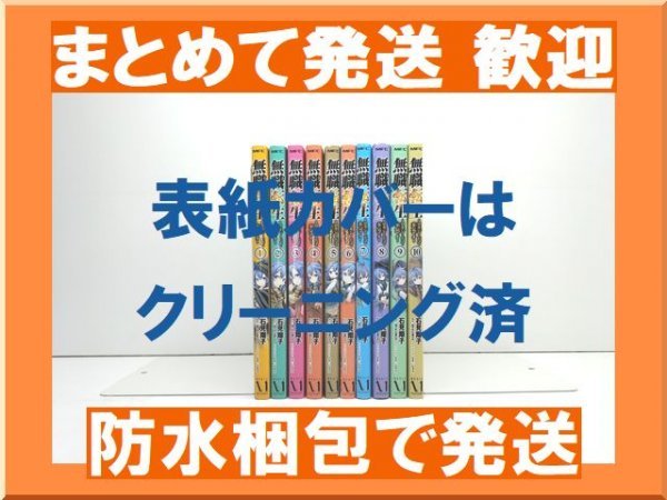 欲しいの 【複数落札まとめ発送可能】無職転生 ロキシーだって本気です