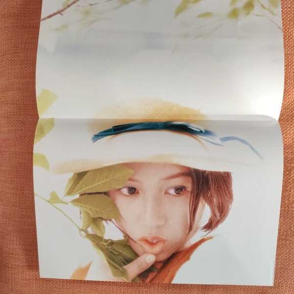 ひし美ゆり子写真集 直筆サイン入り 帯付 カラーピンナップ付 ひし美ゆり子写真集 直筆サイン入り 帯付 カラーピンナップ付