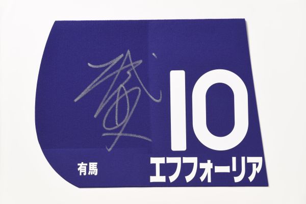 Yahoo!オークション - 【チャリティー】2021年有馬記念優勝馬 Yahoo!オークション - 【チャリティー】2021年有馬記念優勝馬