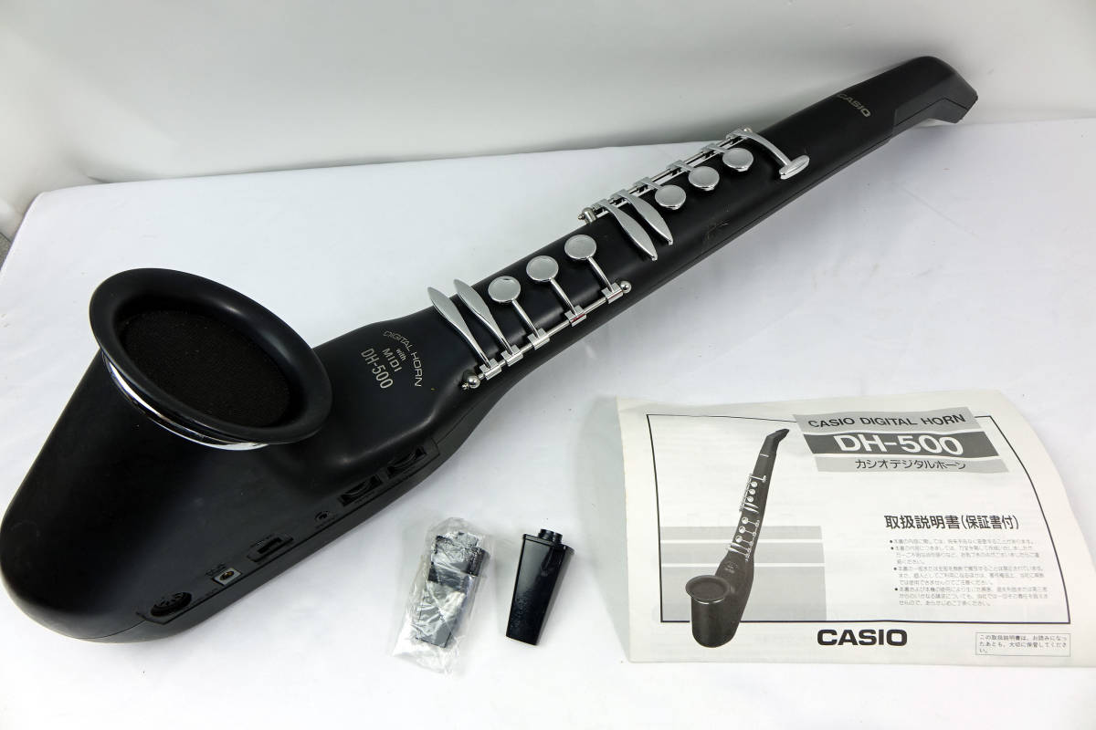 カシオ CASIO DH-200 ジャンク品-