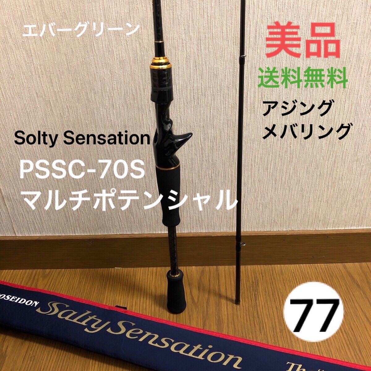 エバーグリーン ソルティセンセーション PSSC-70S マルチポテンシャル