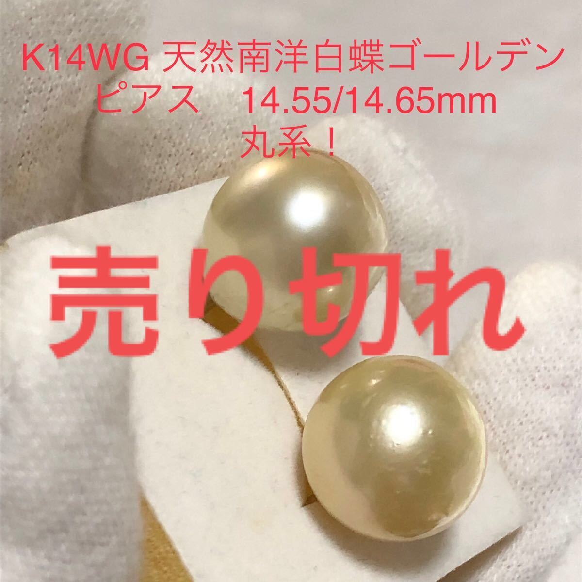 K14WG 天然南洋白蝶ゴールデン真珠ピアス 14.55/14.65mm 