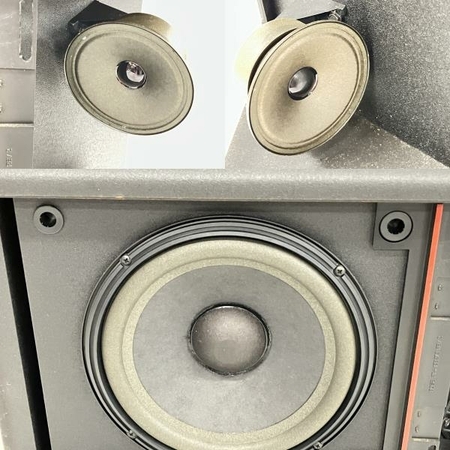 BOSE 301av ボーズ スピーカー ペア 音響機材 S6845938