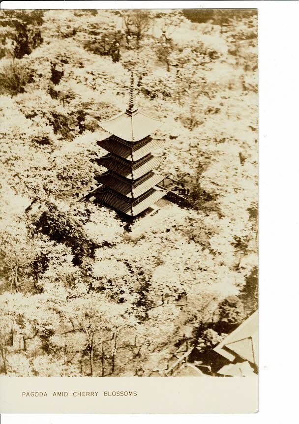 ＊PAGODA AMID CHERRY BLOSSOMS JAPAN GOVERNMENTAL RAILWAYS PHOTO BY TOKYO NICHINICHI 鉄道省絵葉書 RPS01222HA1_画像1