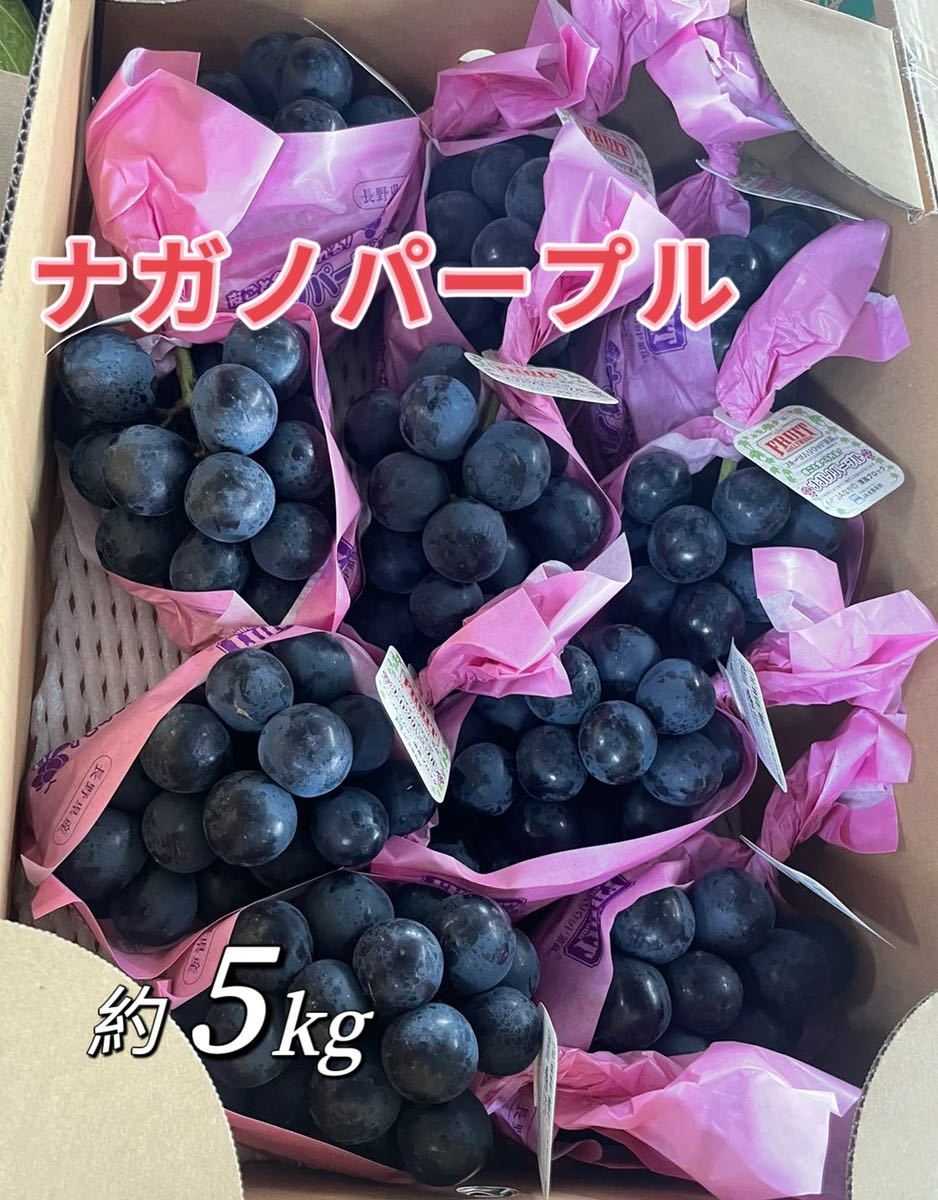 ナガノパープル 長野県産 約5kg 7房〜11房 ぶどう - 野菜、果物