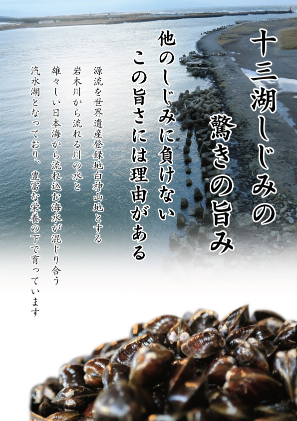 砂抜き済【冷凍 しじみ 中粒 10kg（10キロ）】青森県 津軽 十三湖 産 Mサイズ_画像2