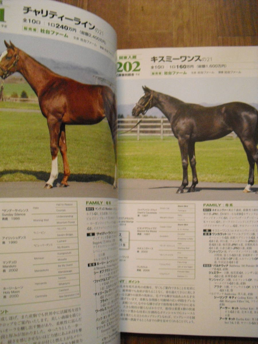 社台グループオーナーズ２０２２　２０２２年度共有馬販売のご案内　２種類２冊セット_画像4