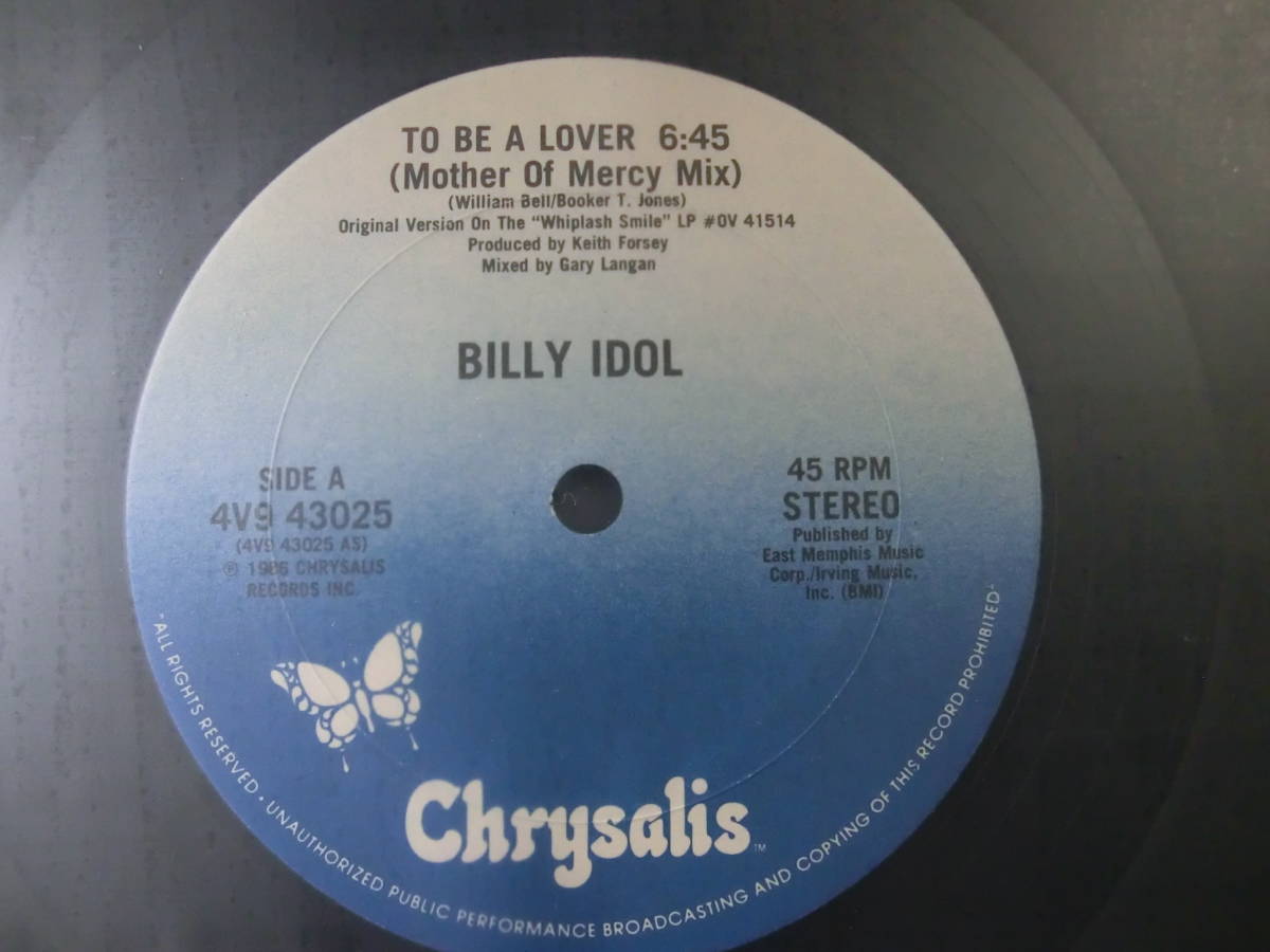 BILLY IDOL / TO BE A LOVER　ビリー・アイドル *12EP _画像3