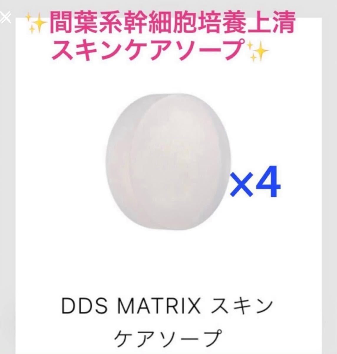 2021年レディースファッション福袋特集 AiRS JAPAN DDS マトリックス