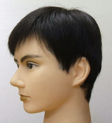  new goods person wool Short wig left pile . style 