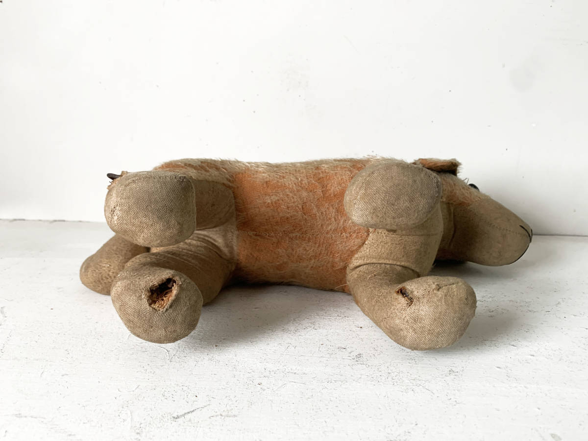 フランス 1900-30s 犬 ぬいぐるみ 木毛 オブジェ おもちゃ 什器 民藝 美術 骨董 ヴィンテージ アンティーク 2