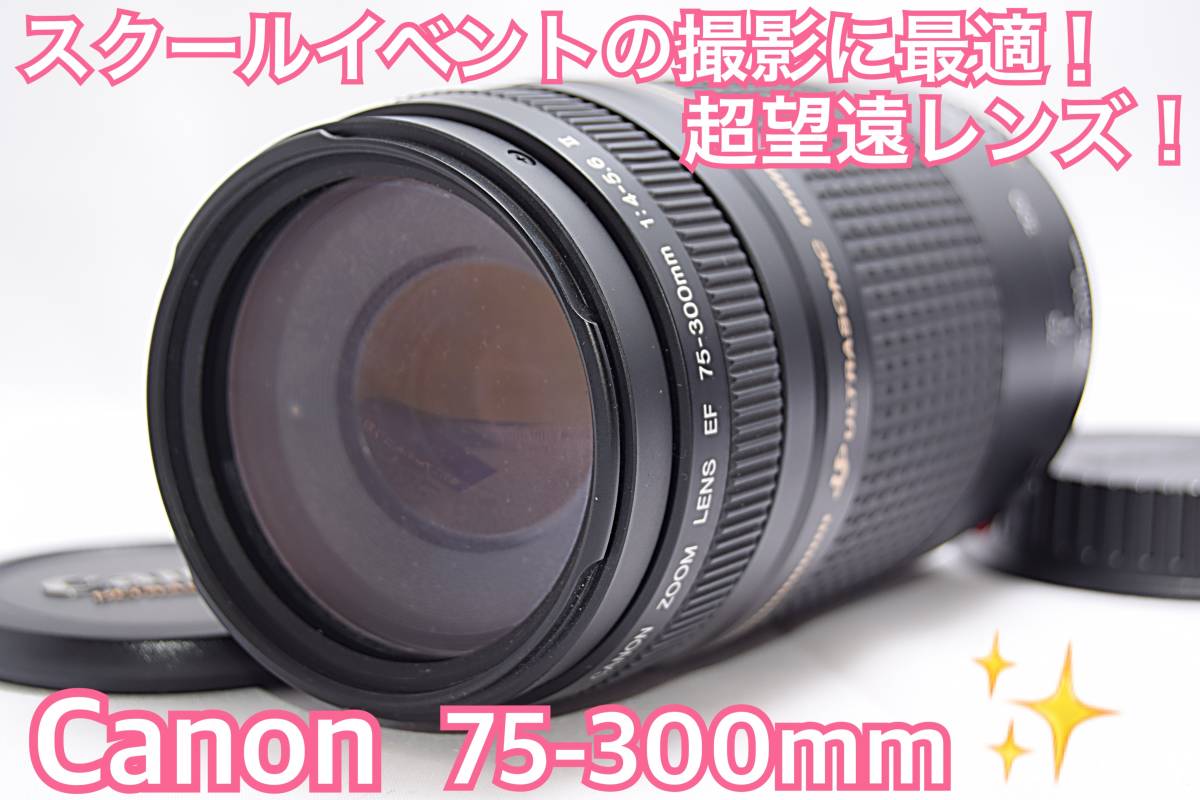 フード付 超望遠レンズ Canon EF 75-300㎜ F4-5.6 II - レンズ(ズーム)