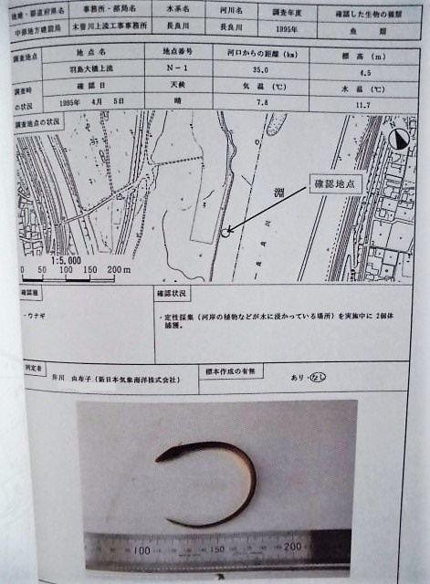 平成6年度 河川水辺の国勢調査(底生動物)長良川・揖斐川 報告 平成6年度 河川水辺の国勢調査(底生動物)長良川・揖斐川 報告