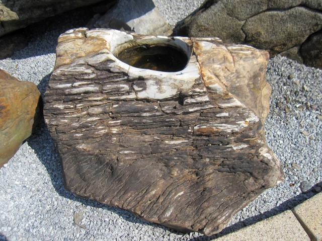 取り寄せ 木化石 つくばい 水鉢 庭石 景石 手水鉢 珪化木 蹲 天然石