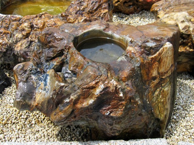 木化石 蹲 つくばい 庭石 珪化木 水鉢 手水鉢 景石 天然石 和風 庭園 銘石 鑑賞石 ぼっかせき s-ni062_画像5