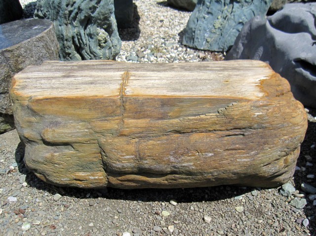 木化石 庭石 ベンチ 珪化木 イス 景石 置台 天然石 椅子 ぼっかせき s-ni034