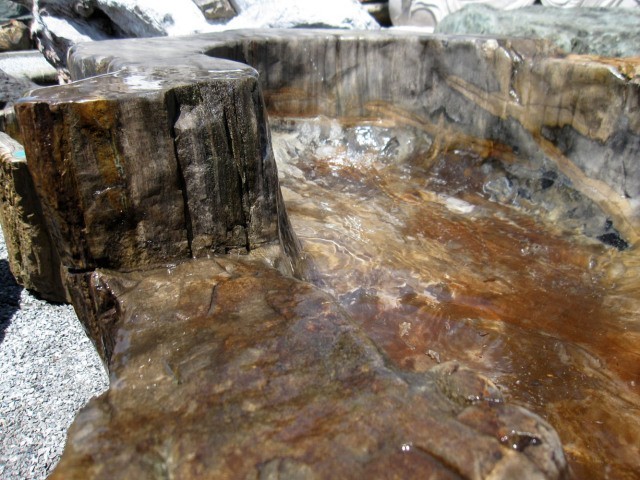 木化石 つくばい 水鉢 庭石 珪化木 蹲 景石 天然石 手水鉢 和風 庭園