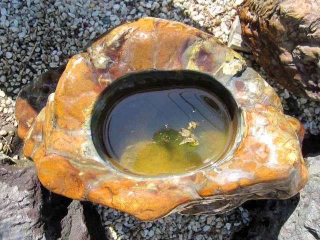 木化石 つくばい 珪化木 蹲 水鉢 庭石 景石 手水鉢 天然石 和風 庭園