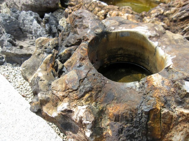 木化石 蹲 つくばい 庭石 珪化木 水鉢 手水鉢 景石 天然石 和風 庭園 銘石 鑑賞石 ぼっかせき s-ni062_画像4