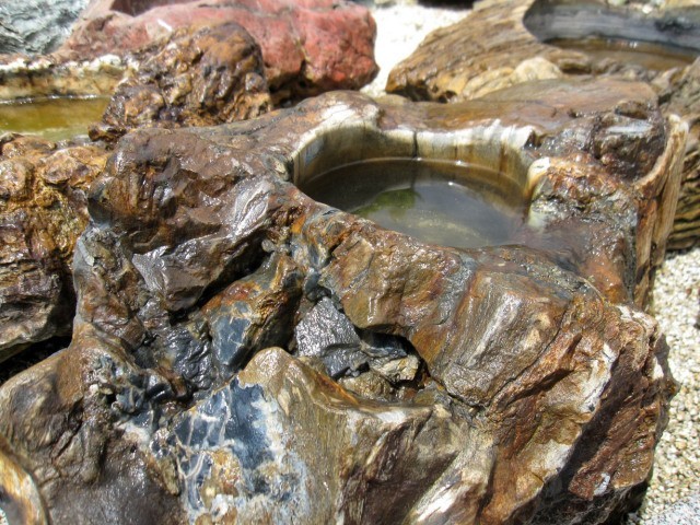 木化石 蹲 つくばい 庭石 珪化木 水鉢 手水鉢 景石 天然石 和風 庭園 銘石 鑑賞石 ぼっかせき s-ni062_画像9