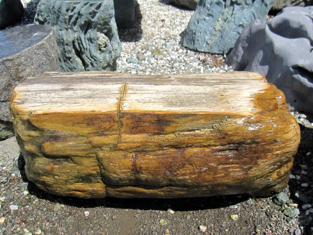 木化石 庭石 ベンチ 珪化木 イス 景石 置台 天然石 椅子 ぼっかせき s-ni034_画像4