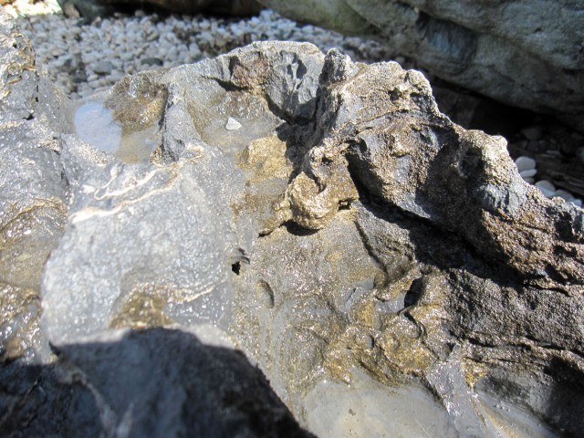 太胡石 庭石 天然石 景石 鑑賞石 自然石 造園 庭園 s-ni084_画像7