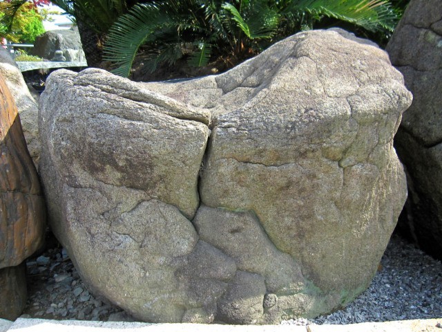 亀甲石 庭石 景石 天然石 自然石 銘石 和風 庭園 希少 s-ni101 石庭